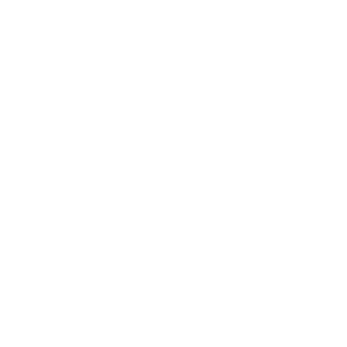 digiv8_white_transparent